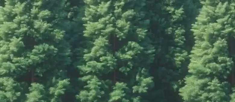 [2+1] 라운드어라운드 배쓰밤 골라담기 (컬러풀/센티드) 상세페이지 27